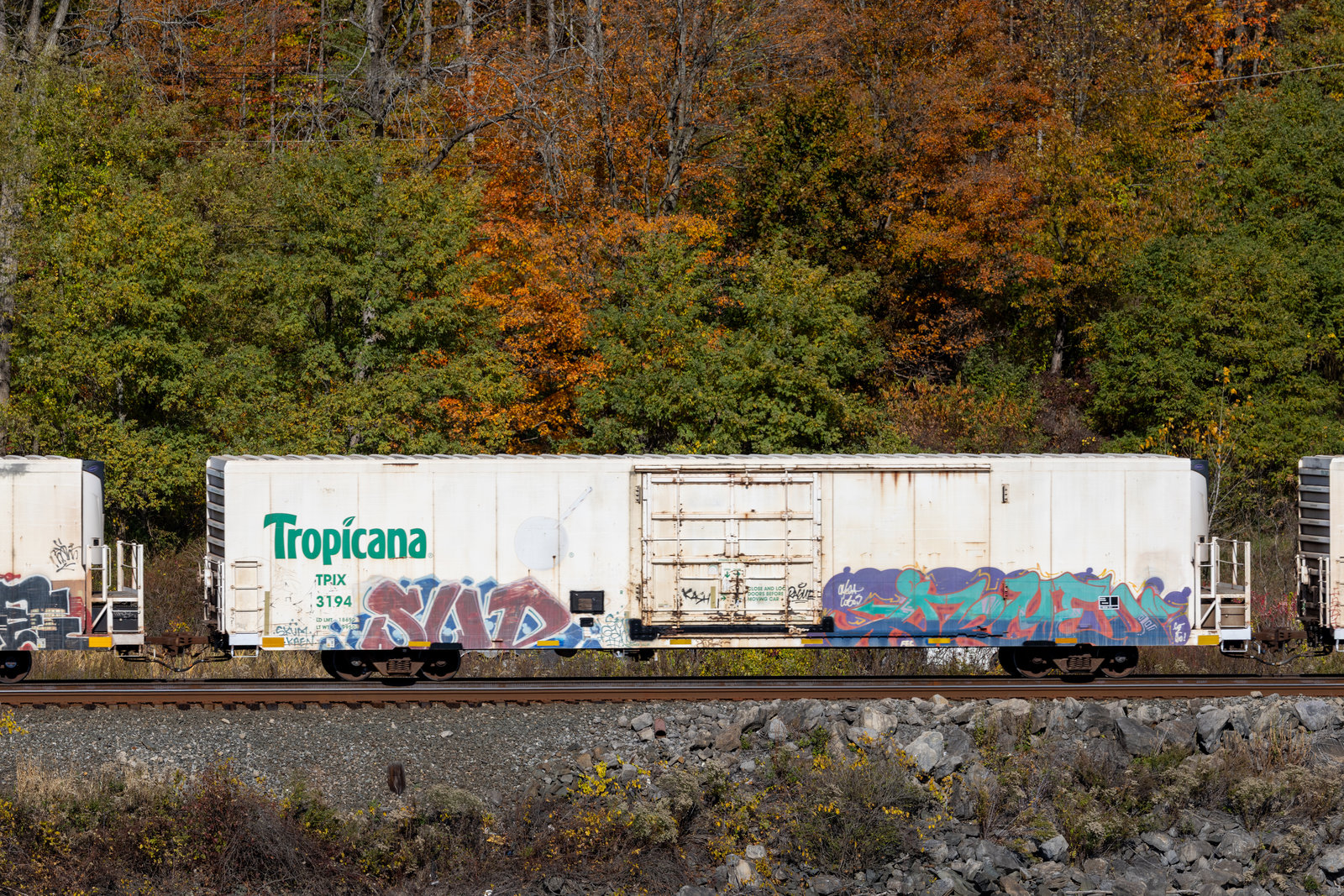 TPIX 3194