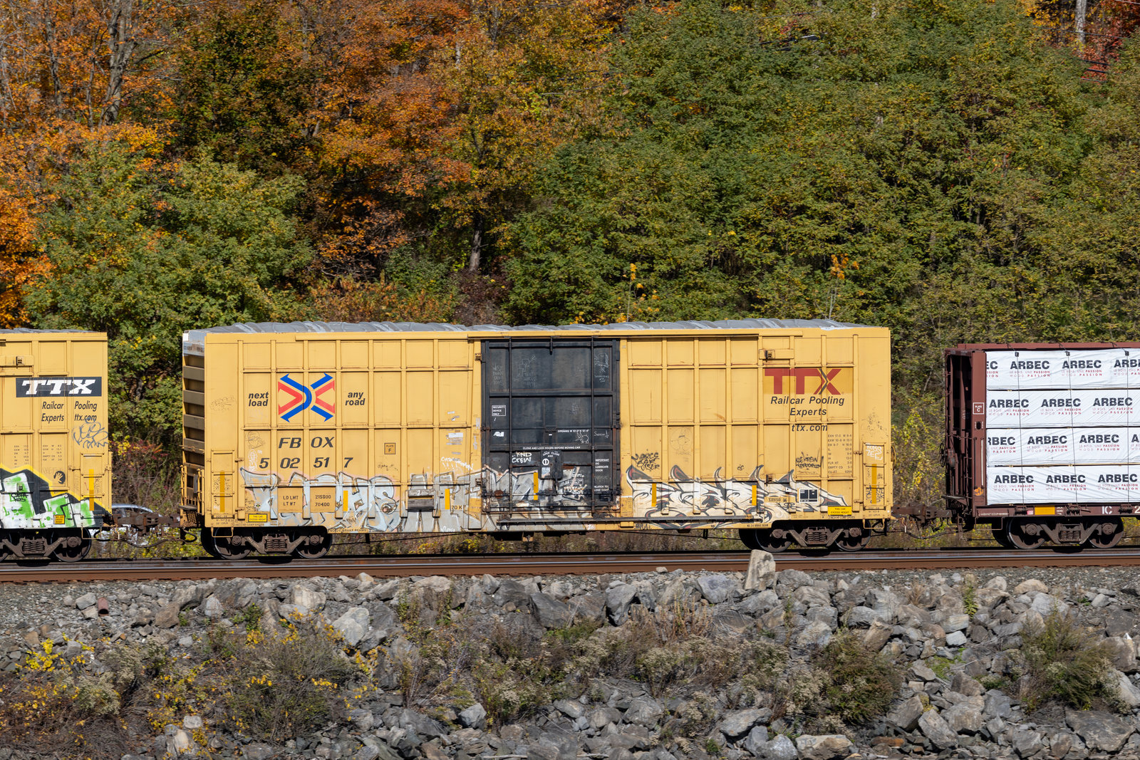 FBOX 502517