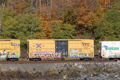 FBOX 502275