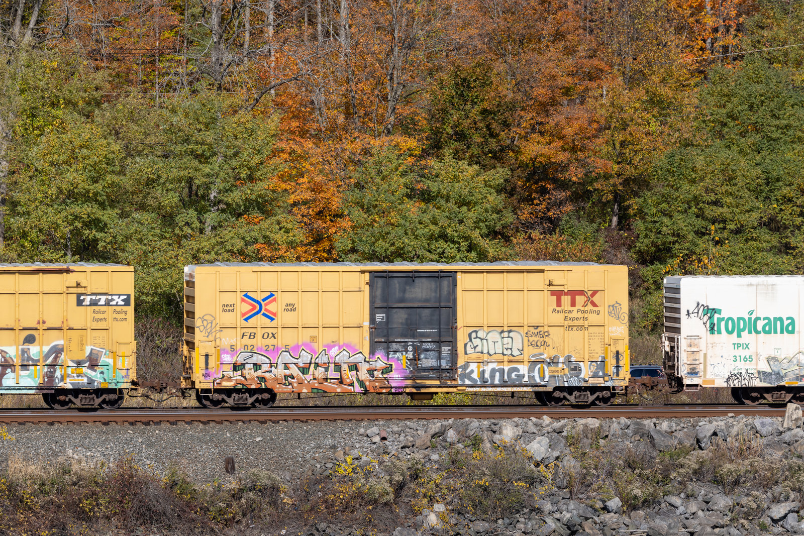 FBOX 502275