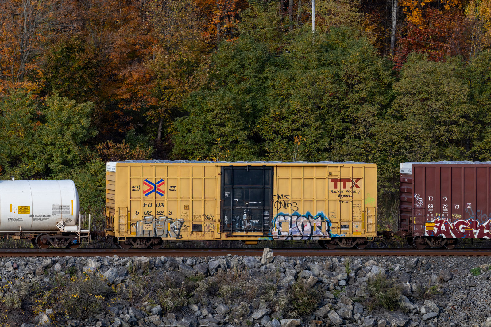 FBOX 502223