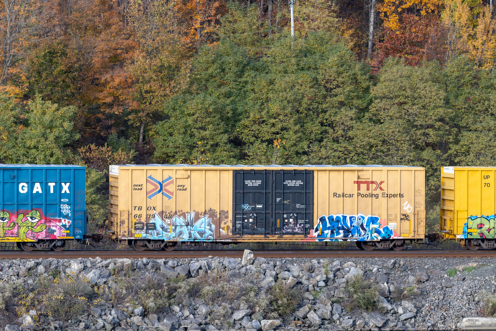 TBOX 661988