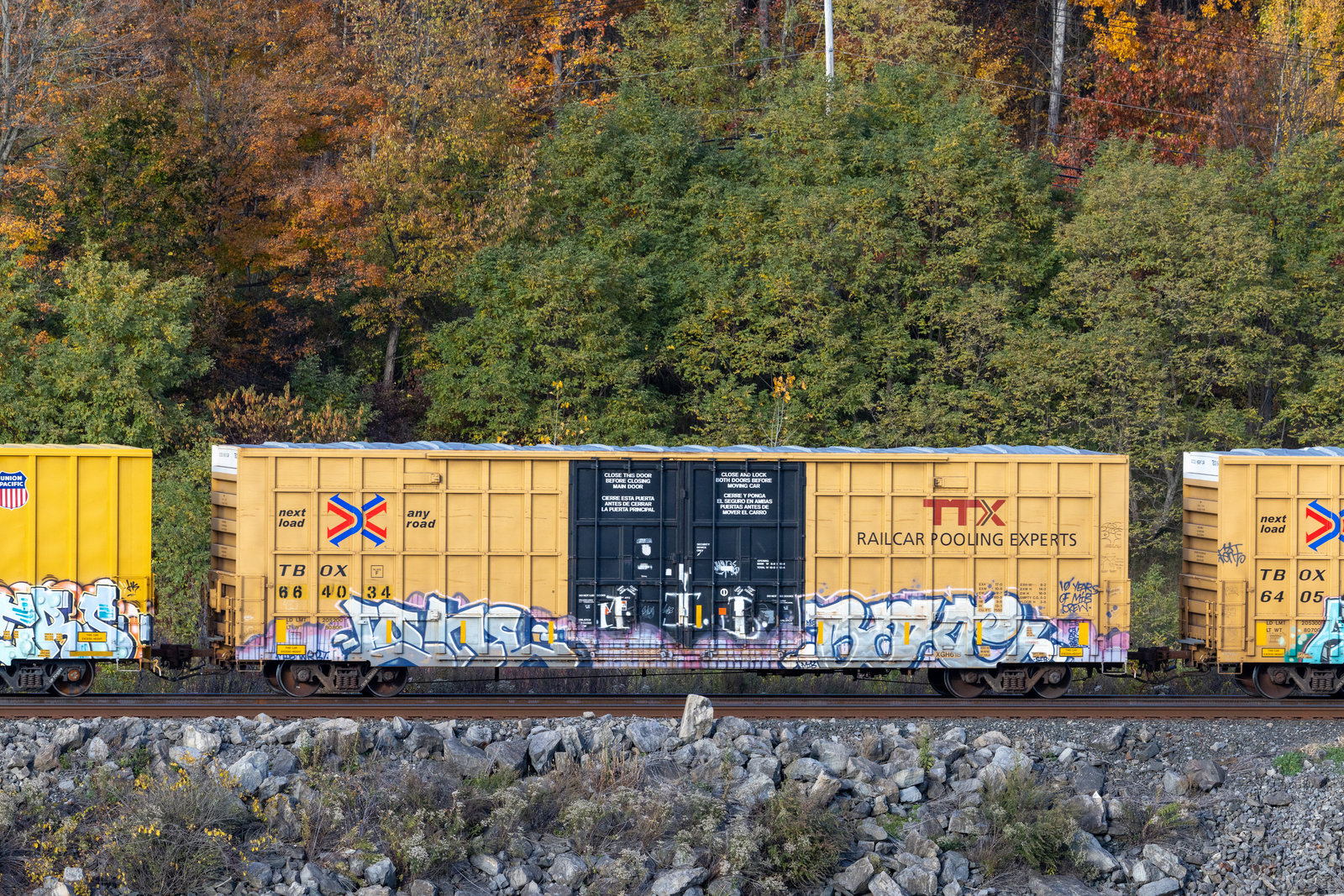 TBOX 664034