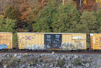 TBOX 660535