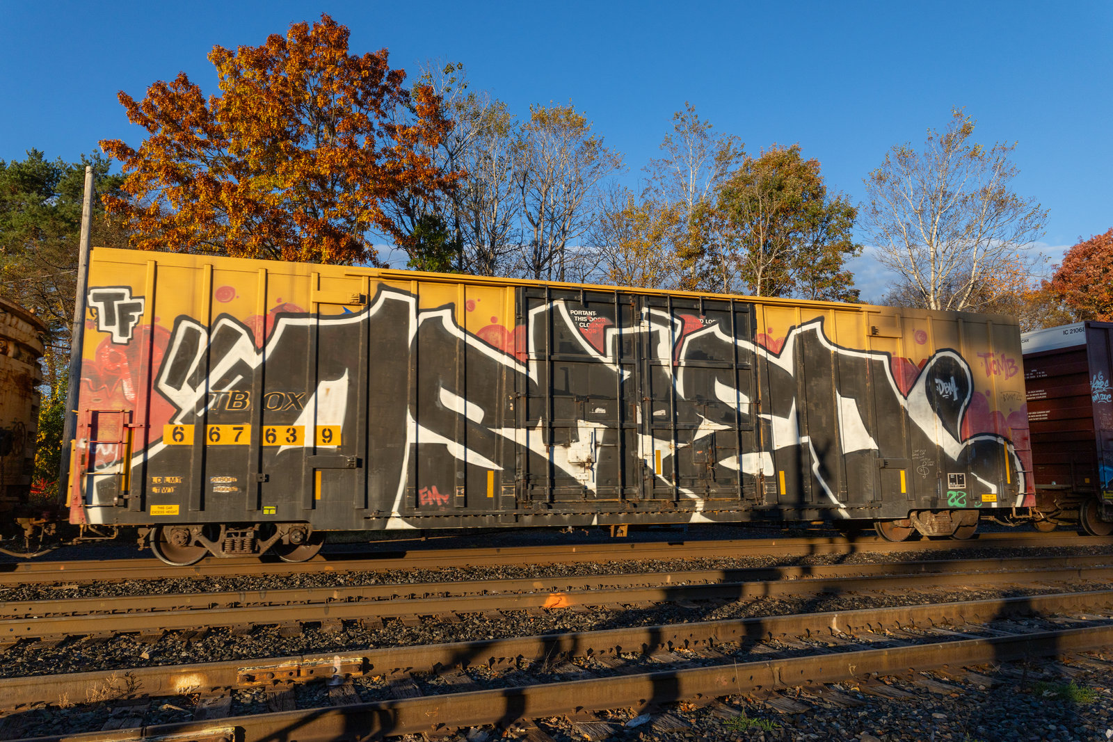 TBOX 667639
