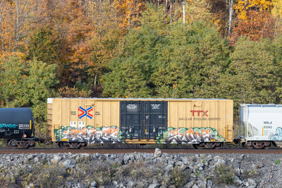 TBOX 667727