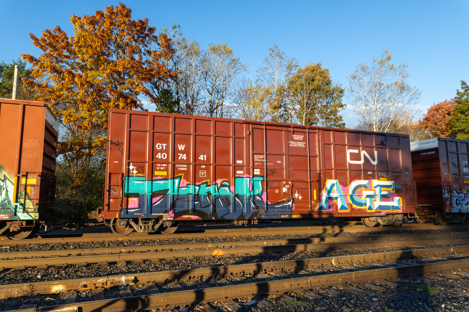 GTW 407441