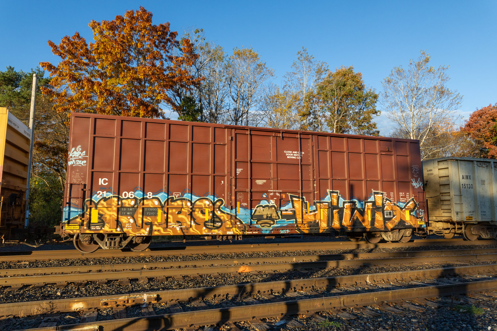 IC 21068