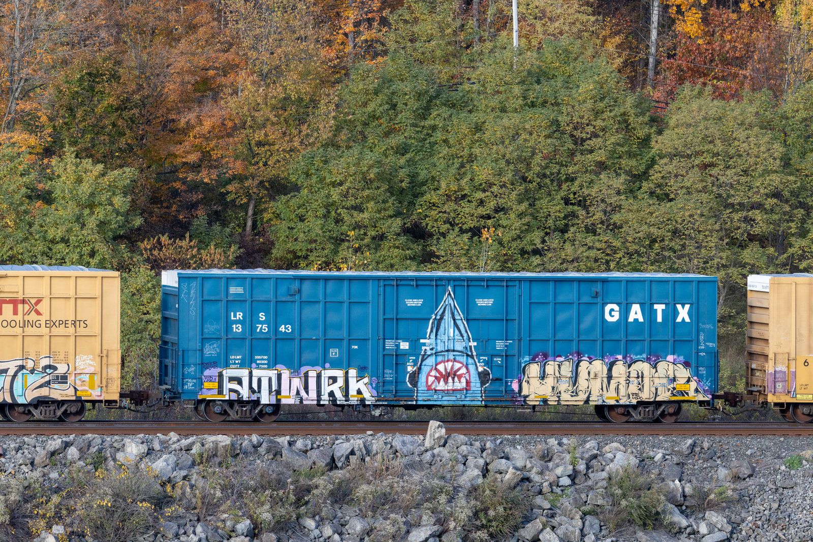 LRS 137543