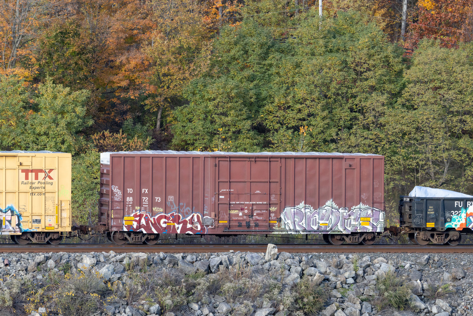 TOFX 887273