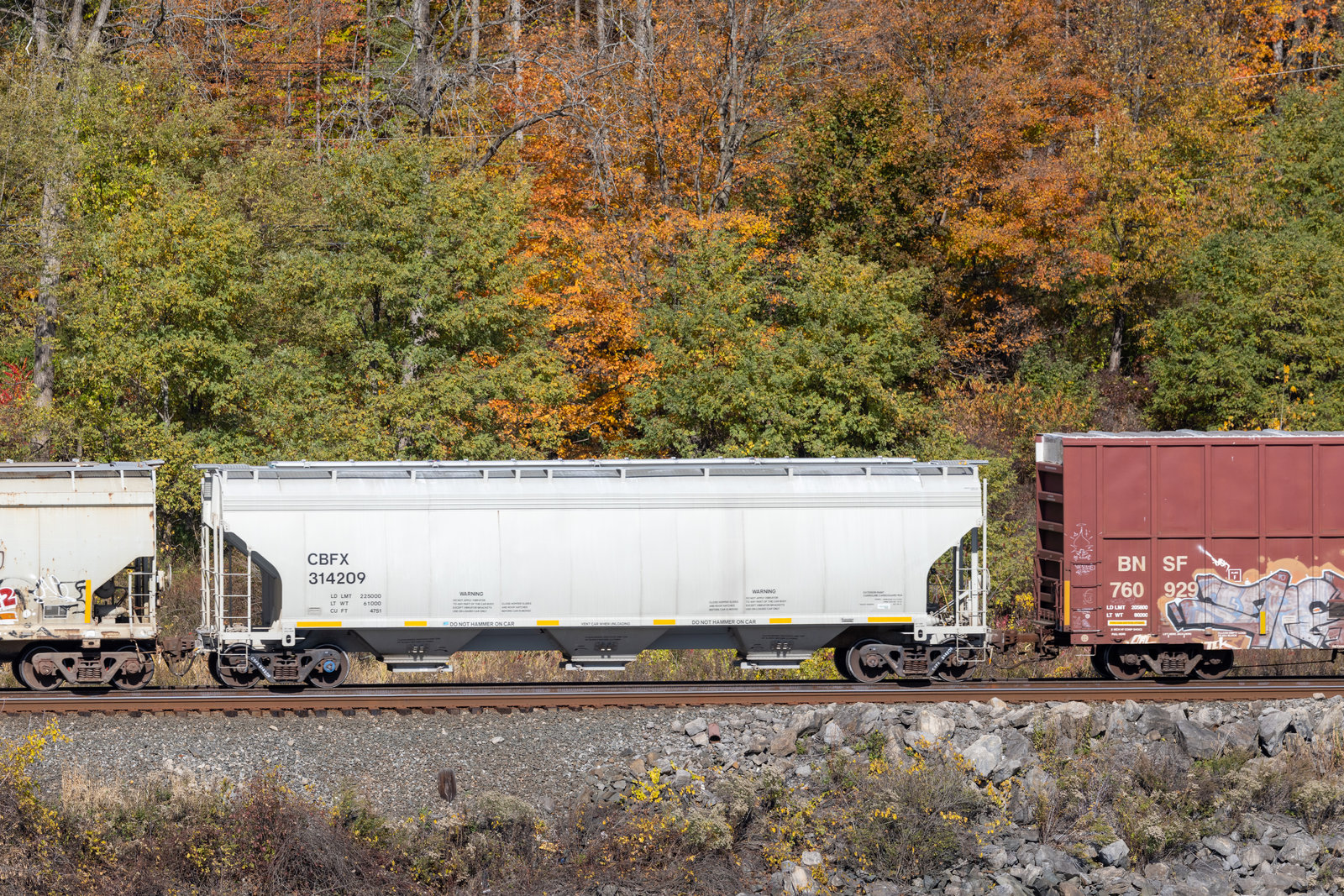CBFX 314209