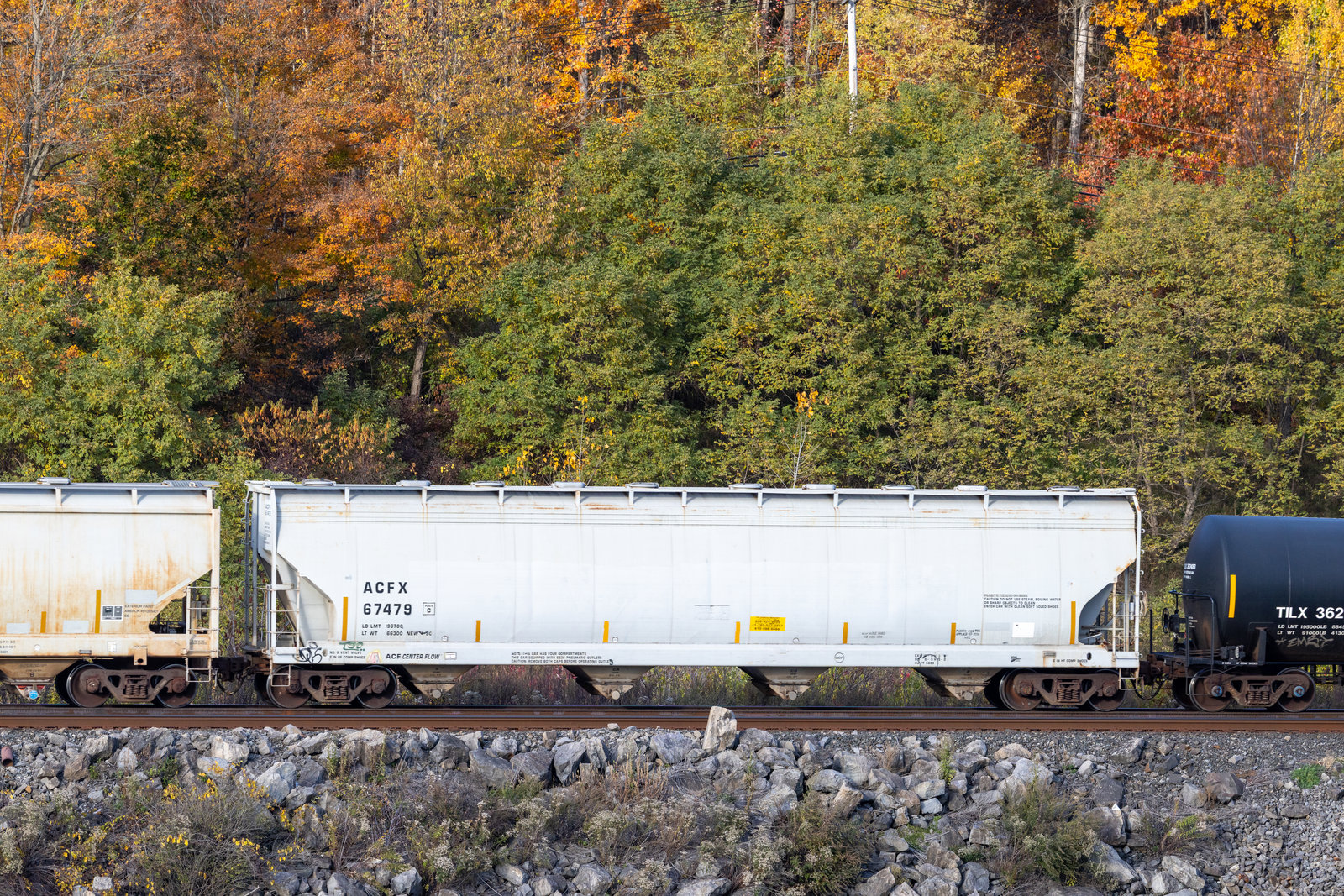 ACFX 67479