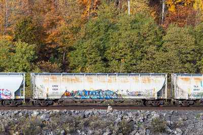 CRDX 11824