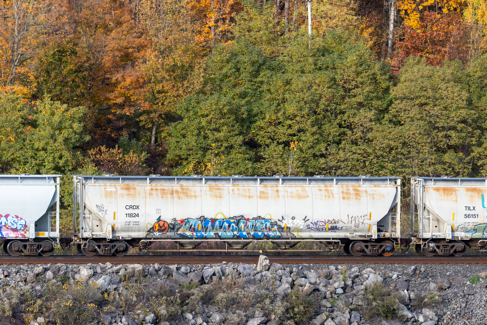 CRDX 11824