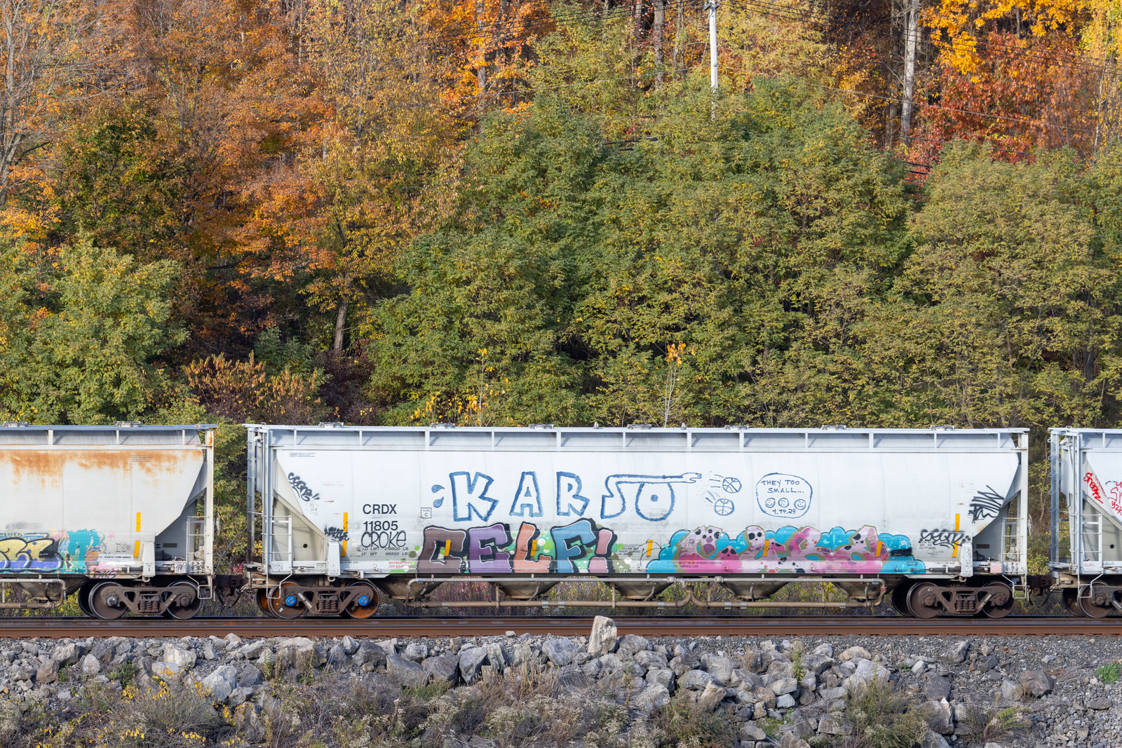 CRDX 11805