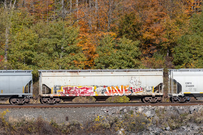 CRDX 14016