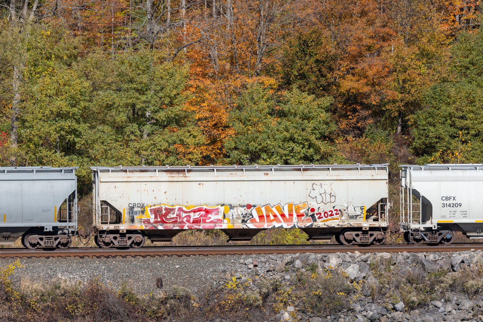 CRDX 14016