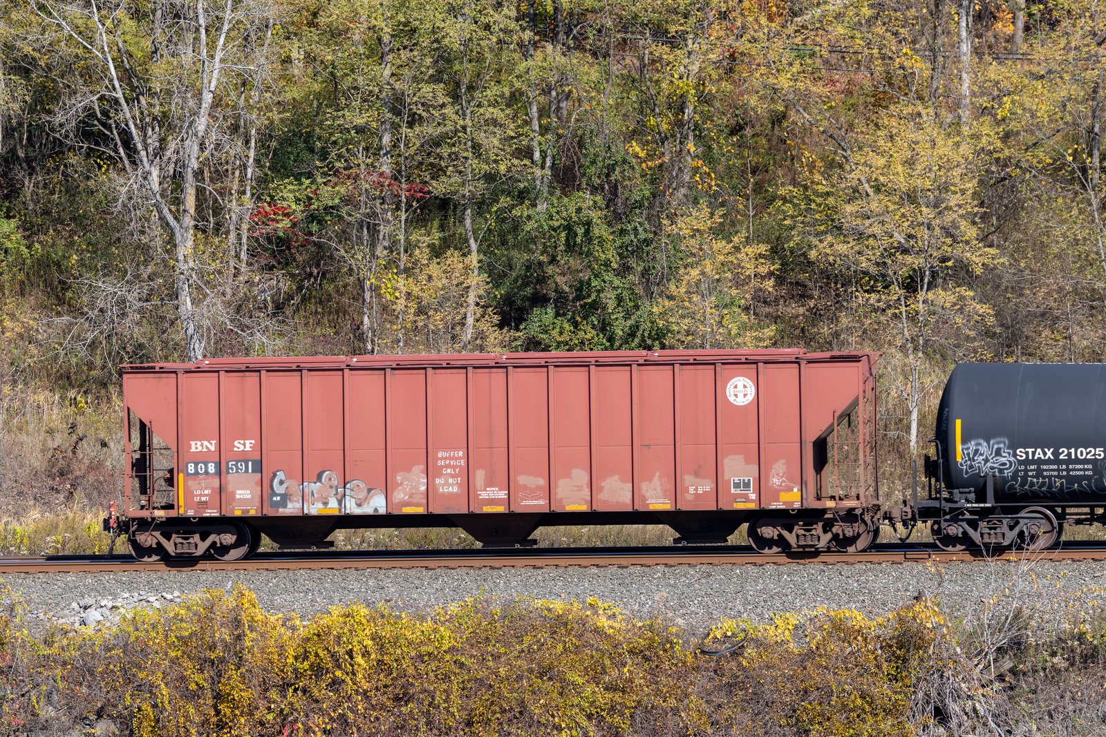 BNSF 808591