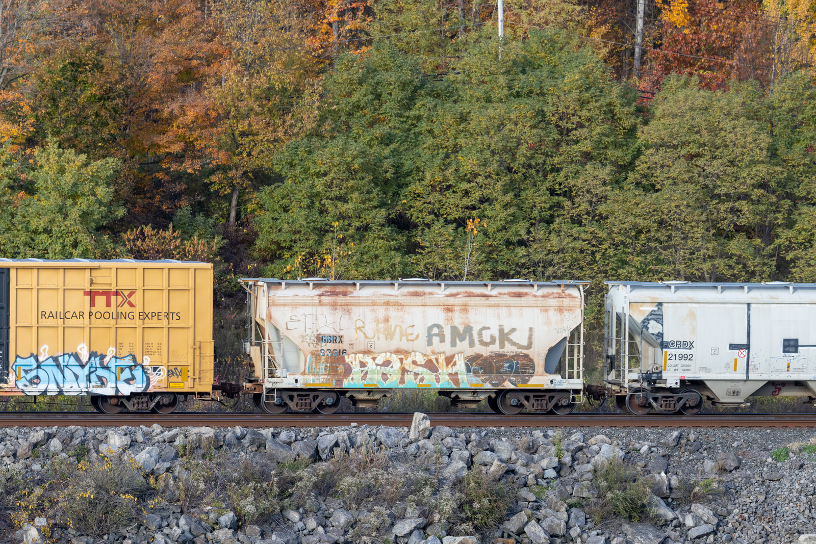 GBRX 83316