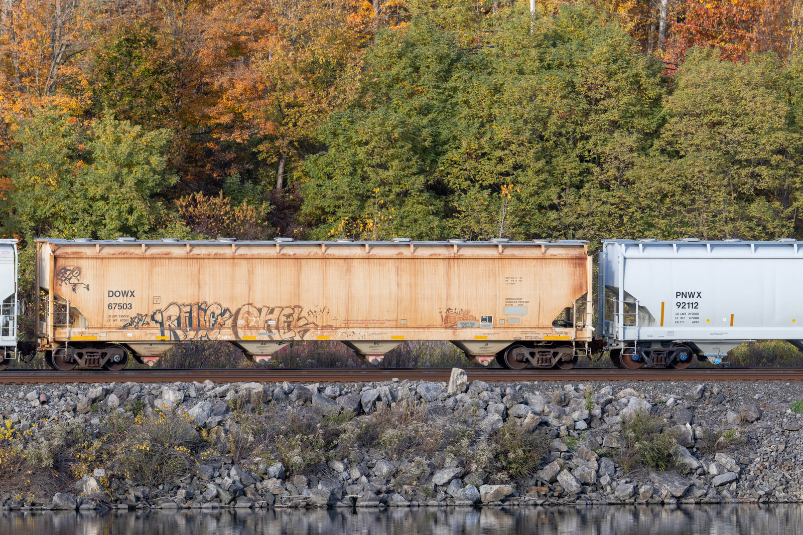 DOWX 67503