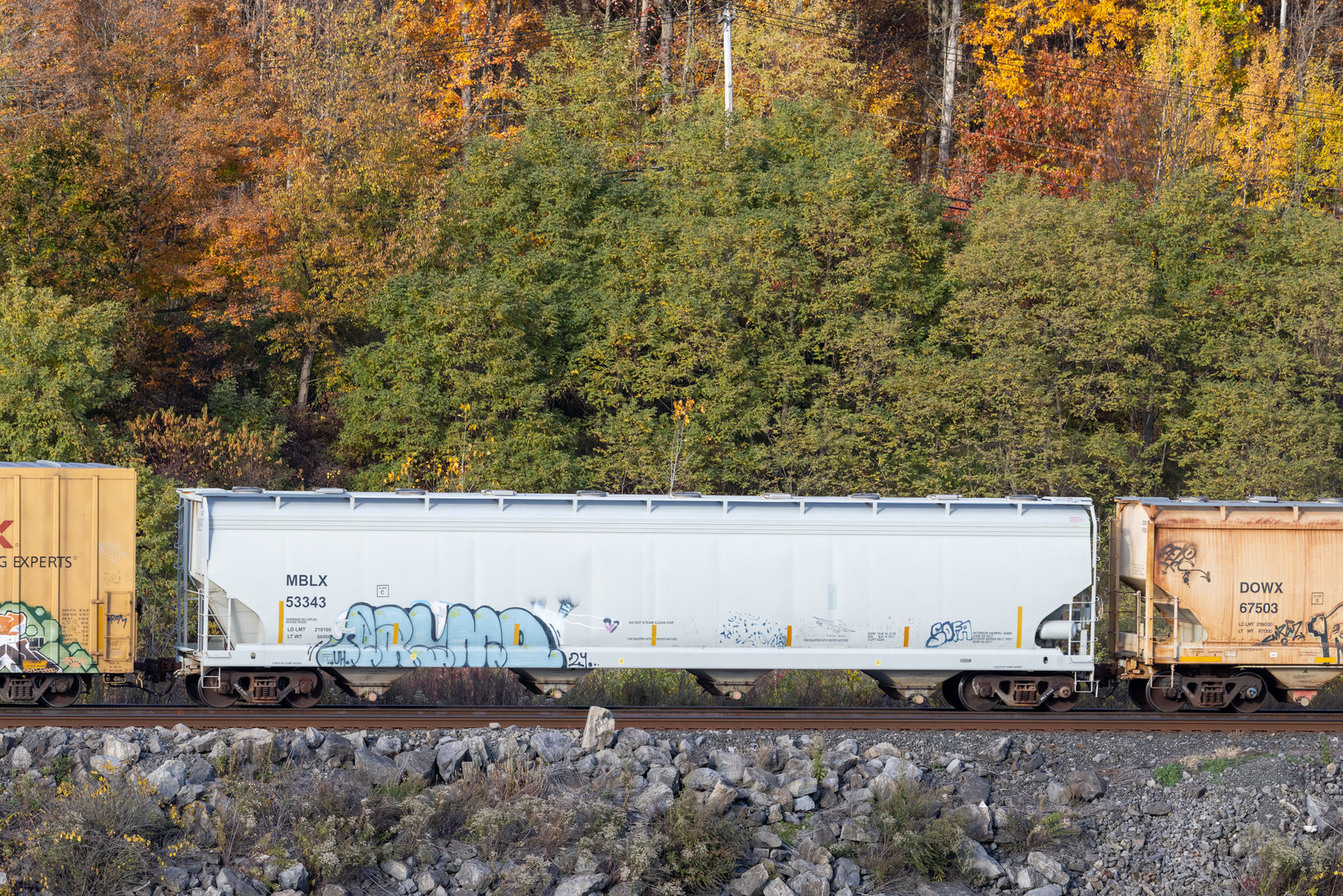 MBLX 53343