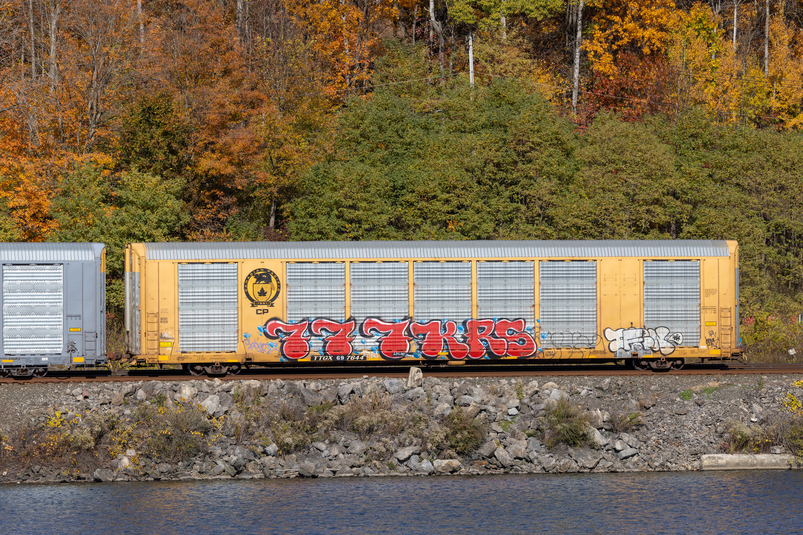 TTGX 697644