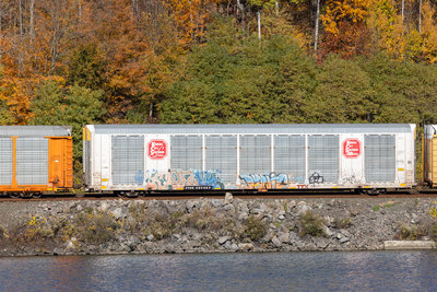 TTGX 697262