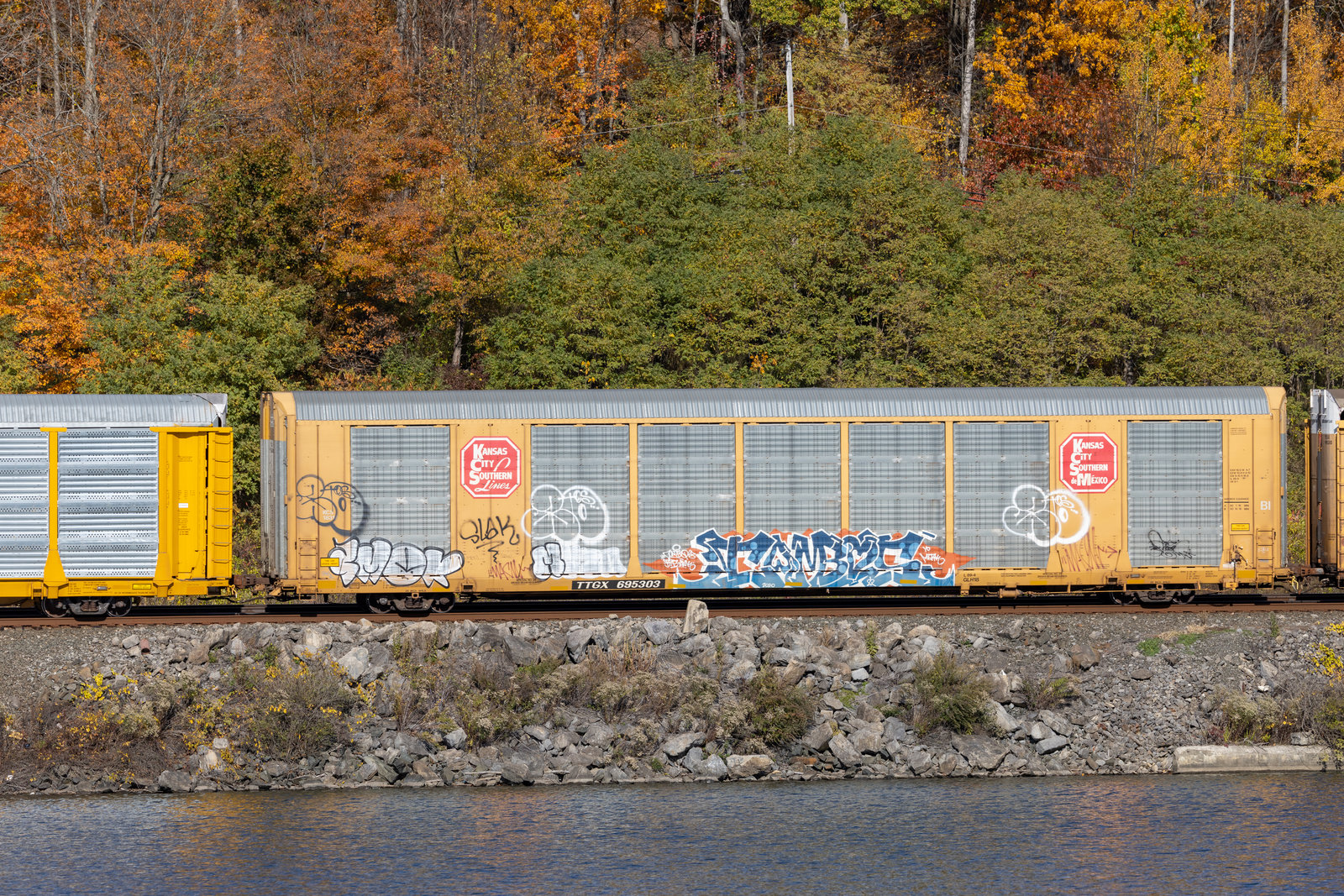 TTGX 695303
