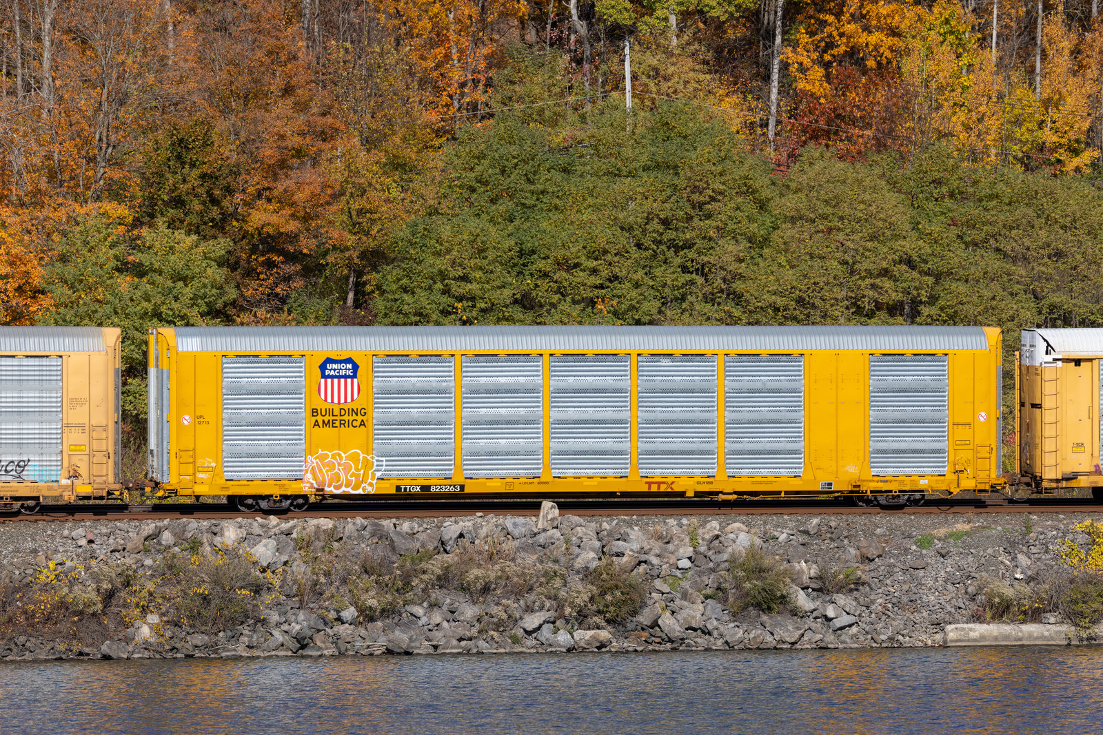 TTGX 823263