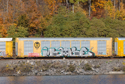 TTGX 697888