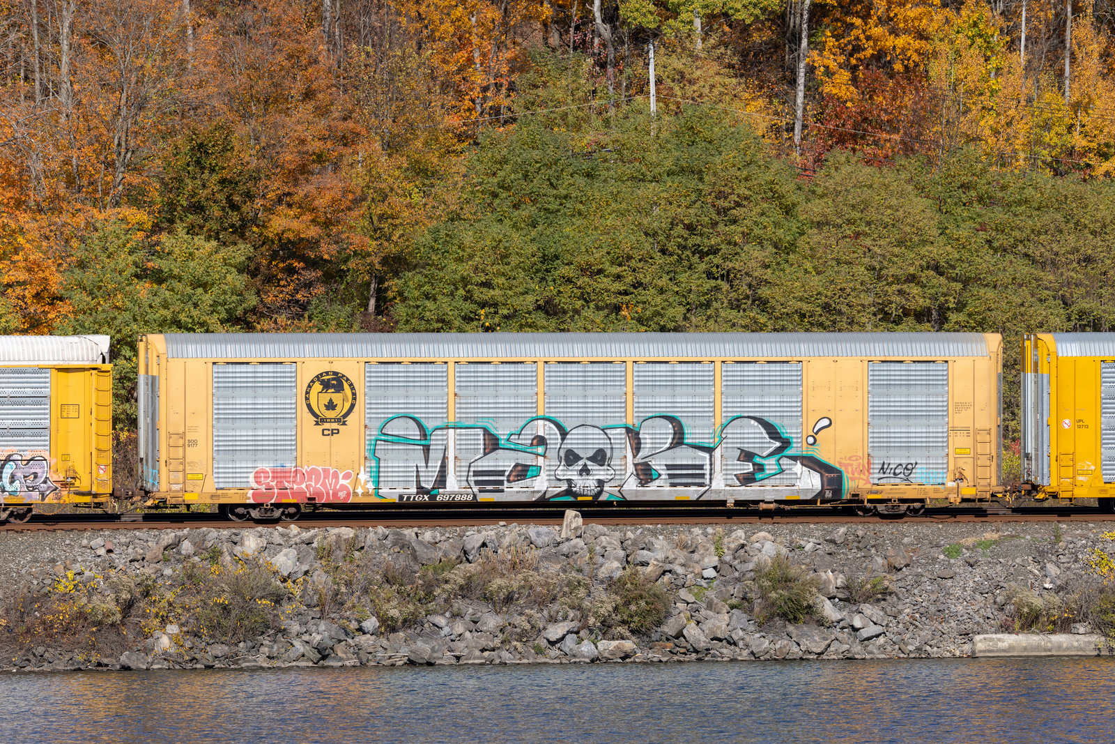 TTGX 697888