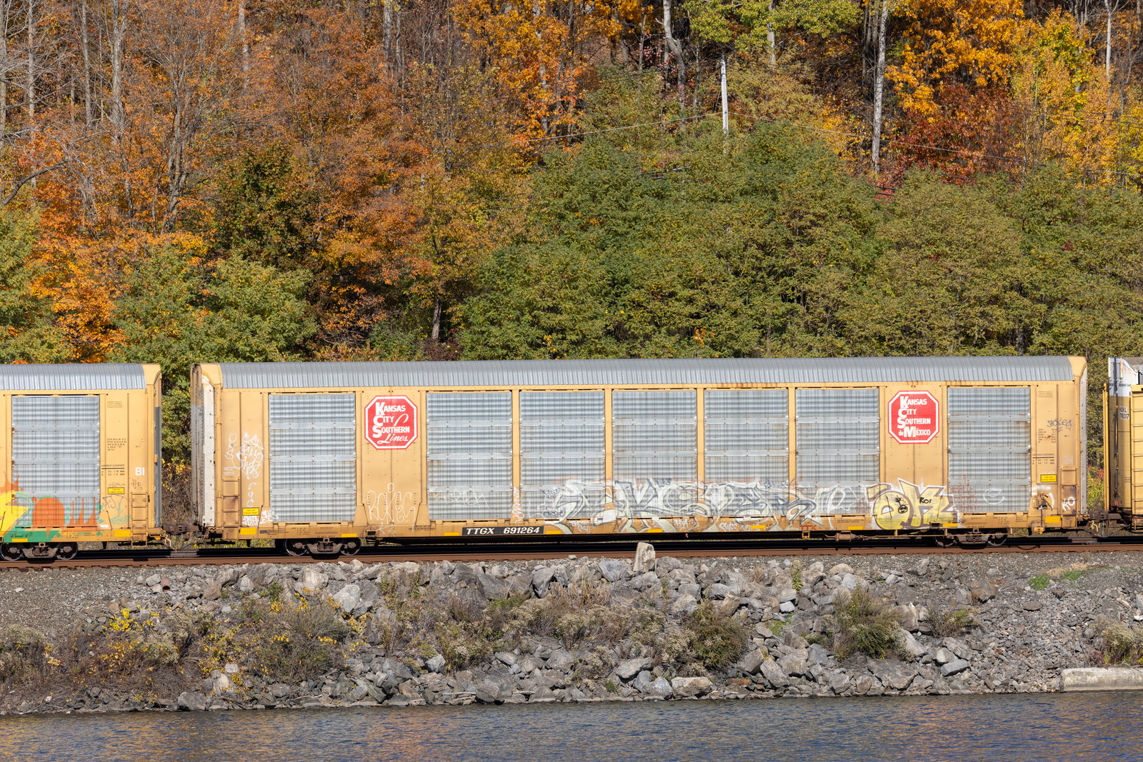 TTGX 691264