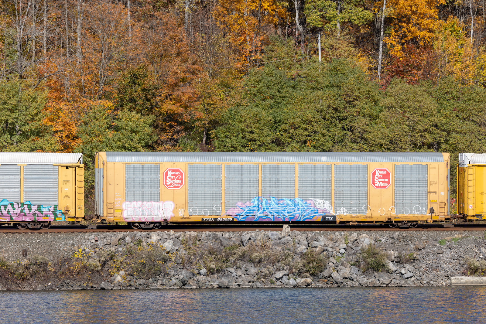 TTGX 695256