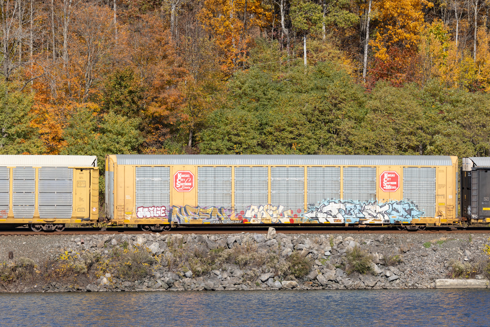 TTGX 695307