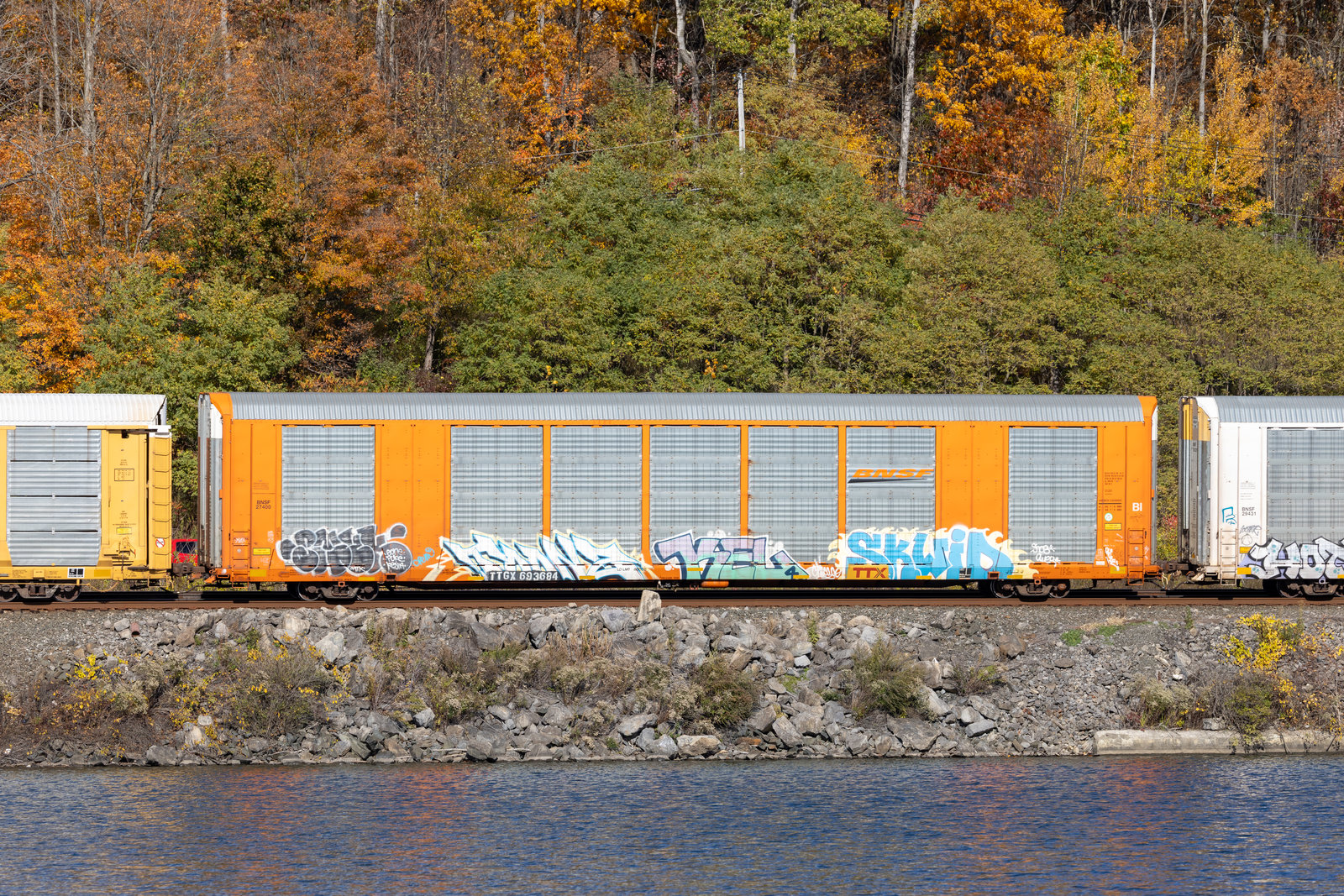 TTGX 693684
