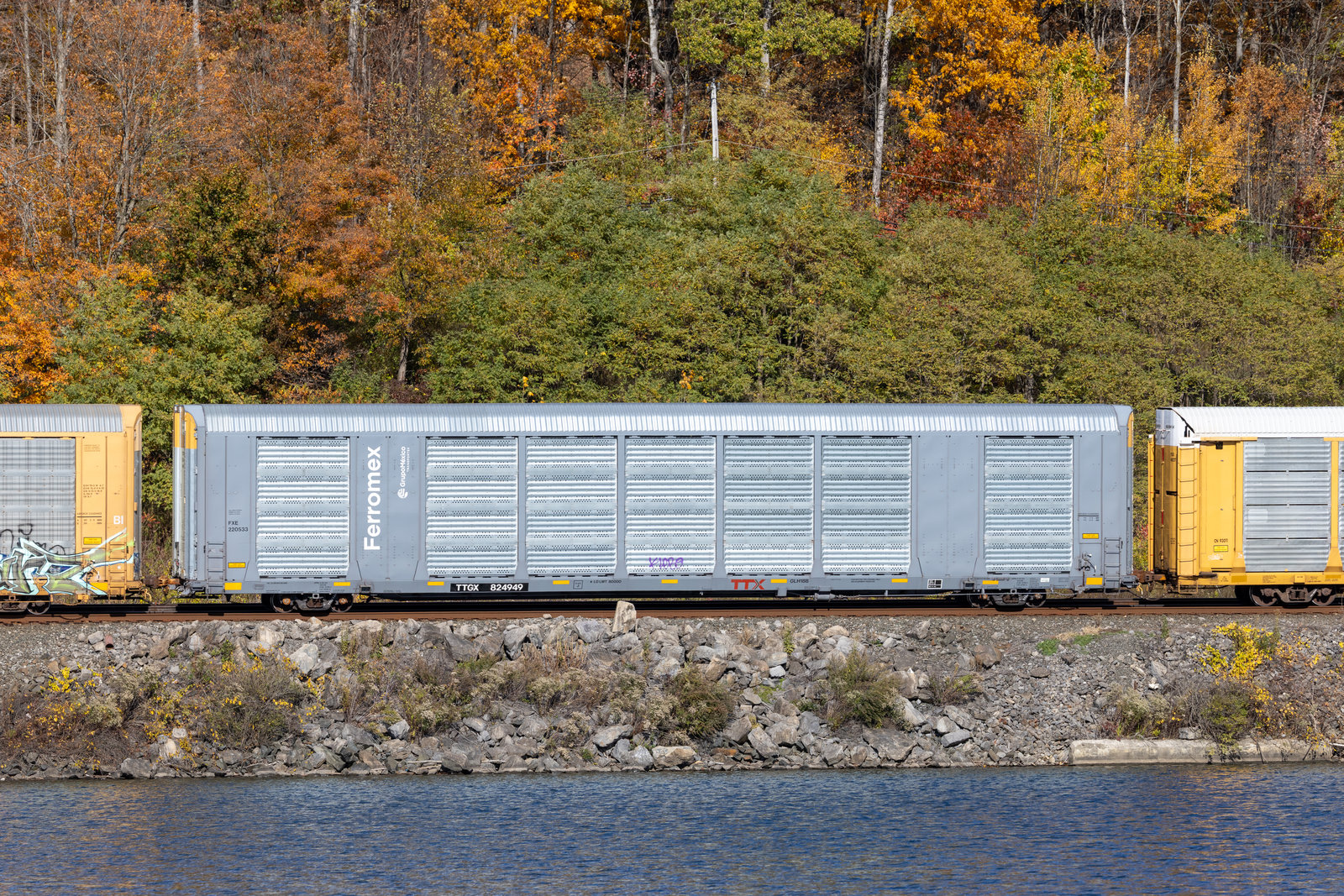 TTGX 824949