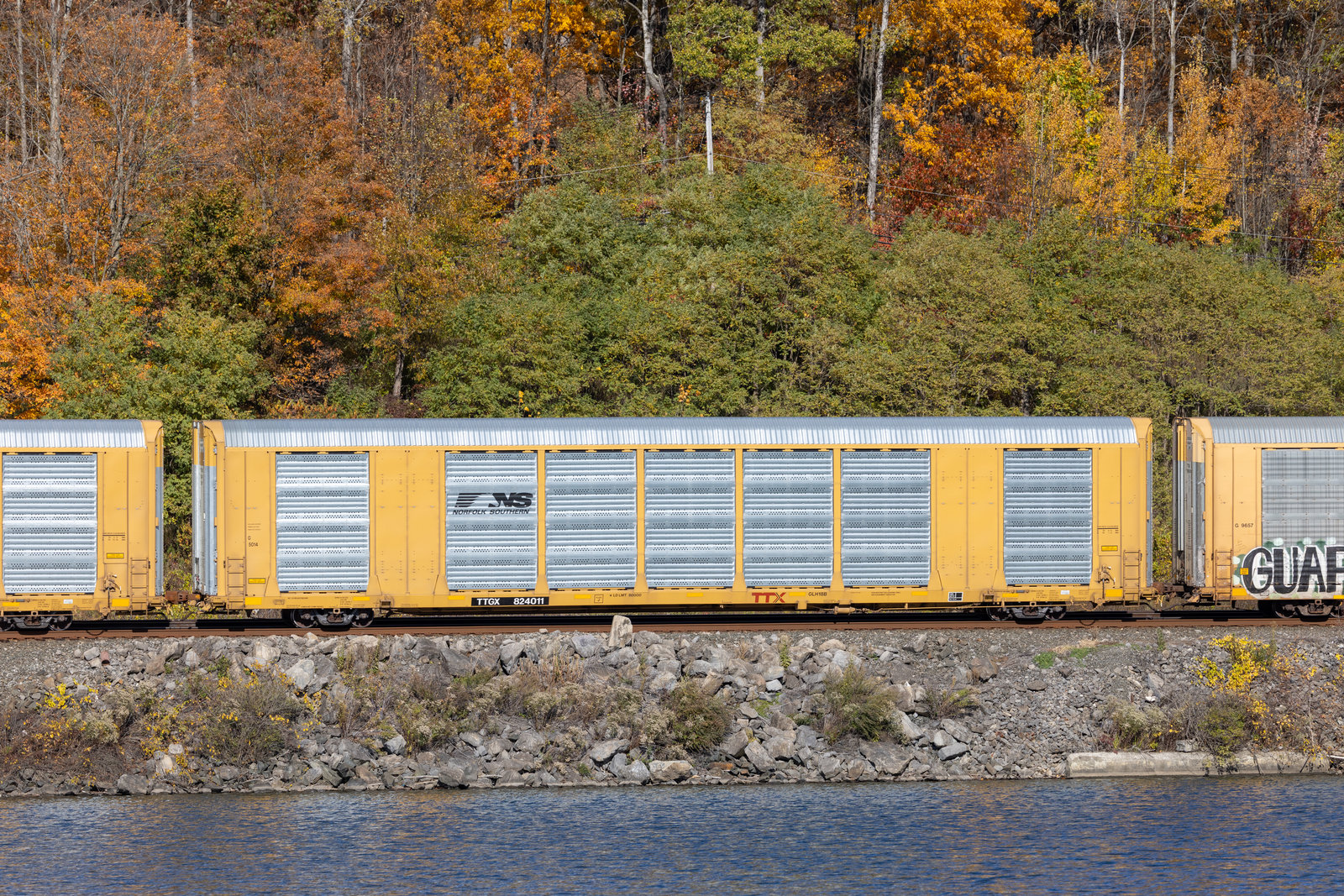 TTGX 824011