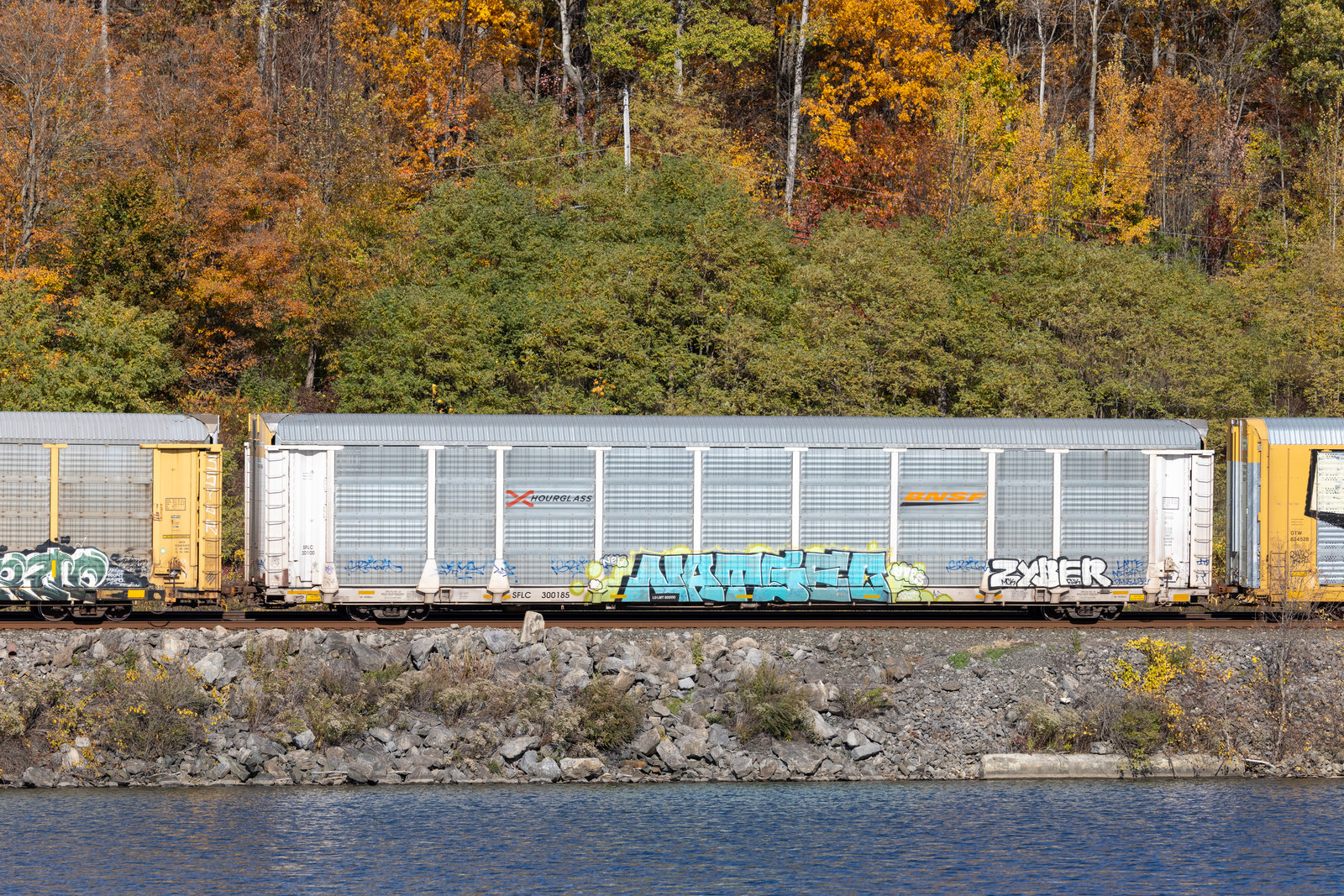 SFLC 300185