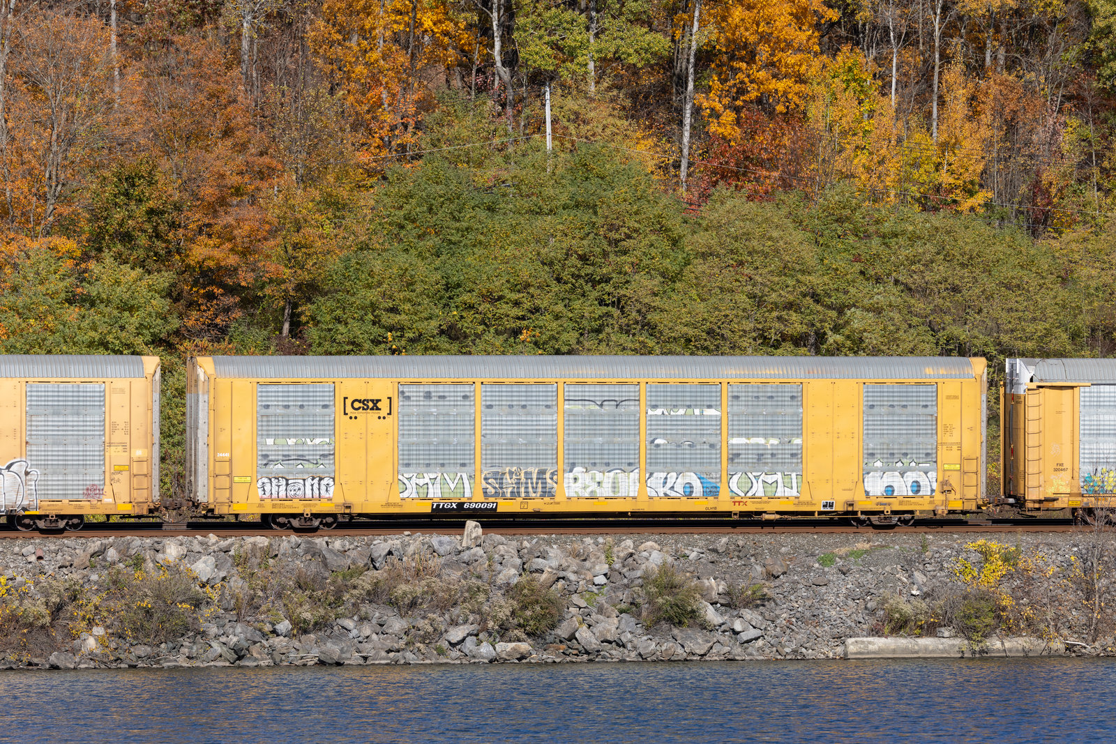 TTGX 690091