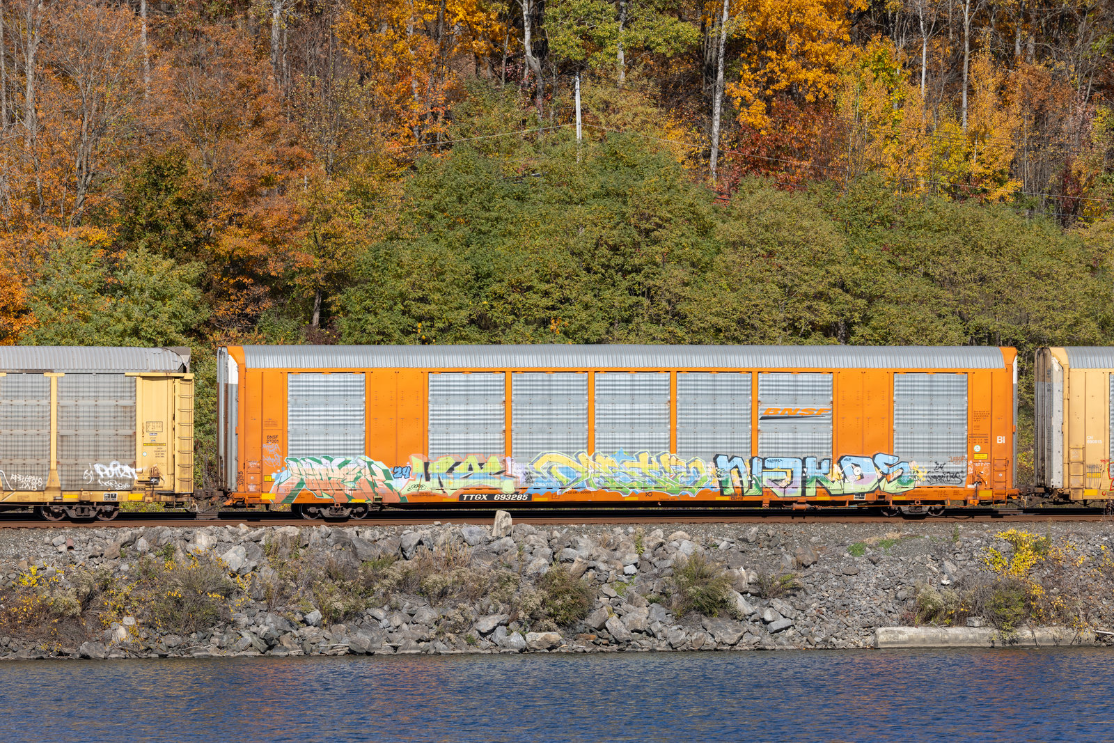 TTGX 693285
