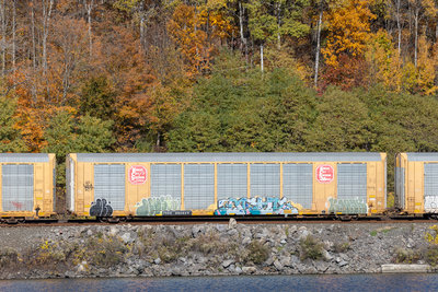 TTGX 692924