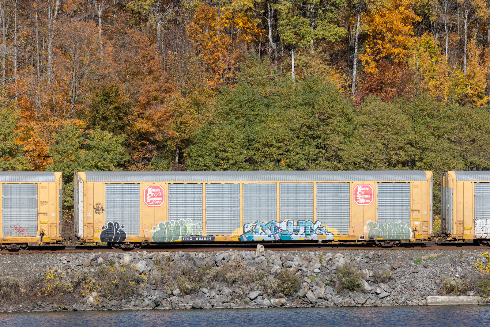 TTGX 692924