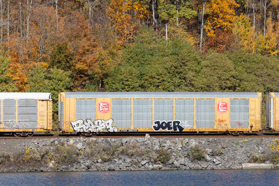 TTGX 695732