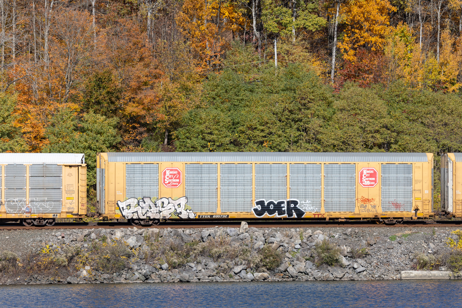 TTGX 695732