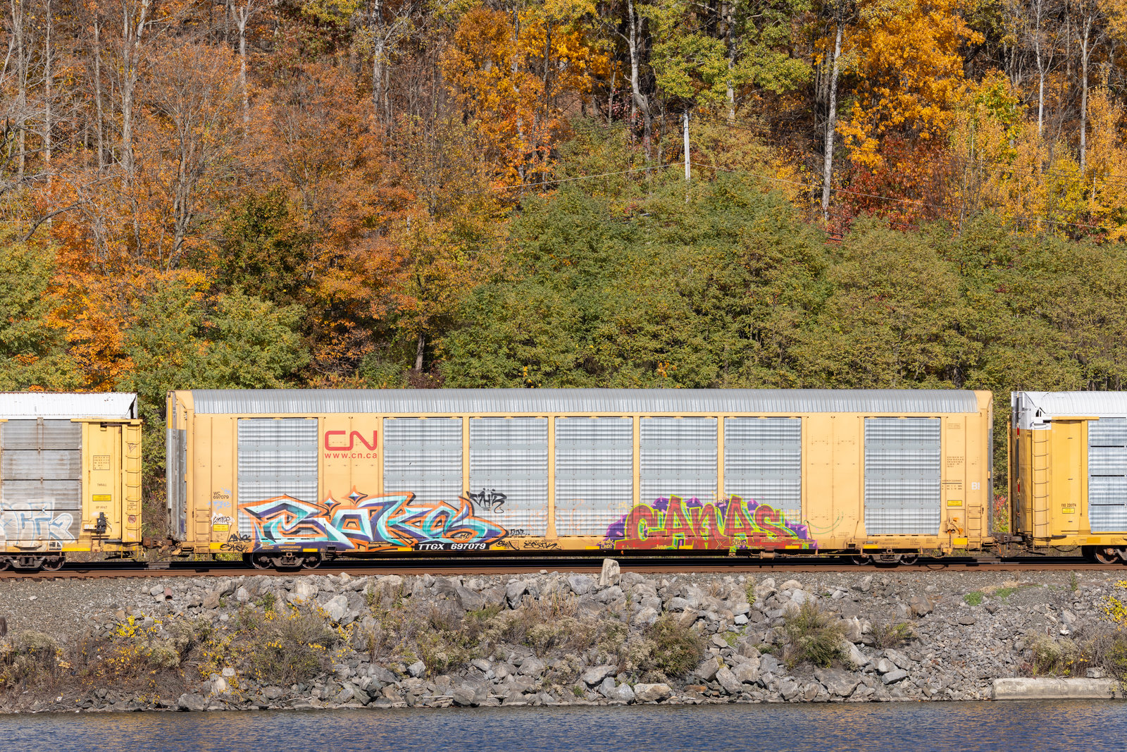 TTGX 697079