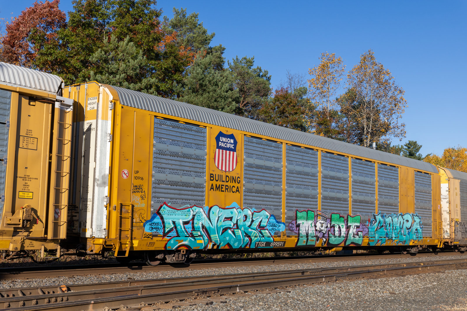 TTGX 699591