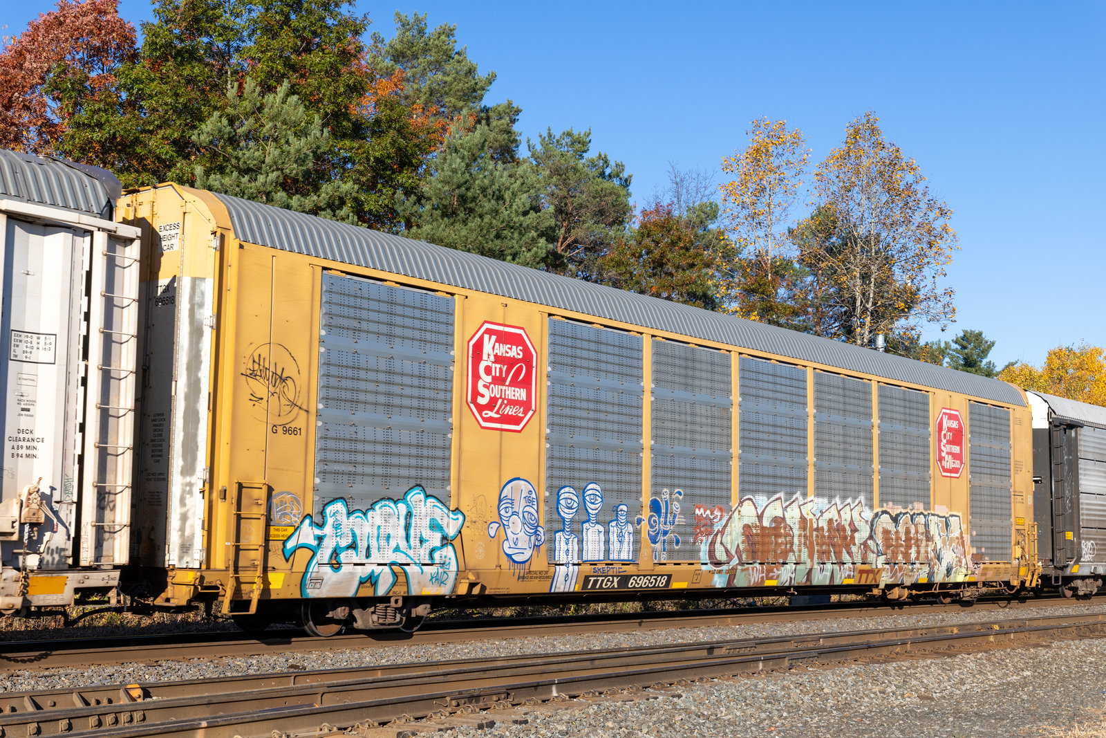 TTGX 696518