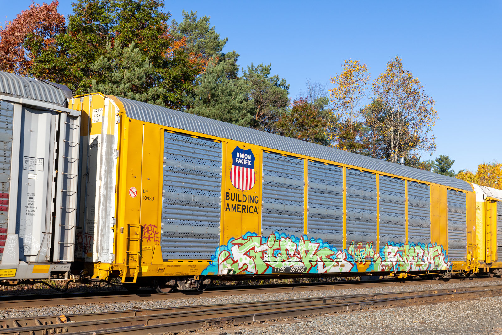 TTGX 699105