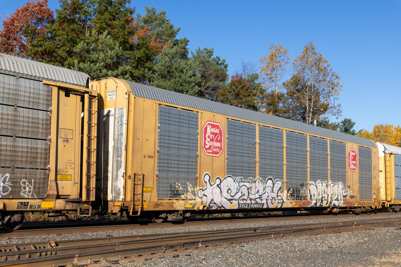 TTGX 696045