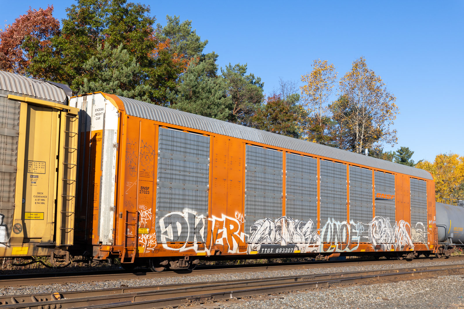 TTGX 693307